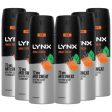 Lynx 72h Jungle Fresh Anti-Perspirant Deodorant Multipack 6 x 150ml For Sale