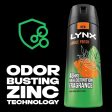 Lynx 48h Jungle Fresh Deodorant Body Spray Trio 3 x 150ml For Cheap